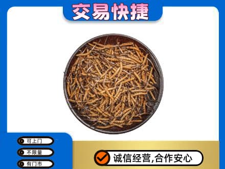 邹平市高价回收散虫草
